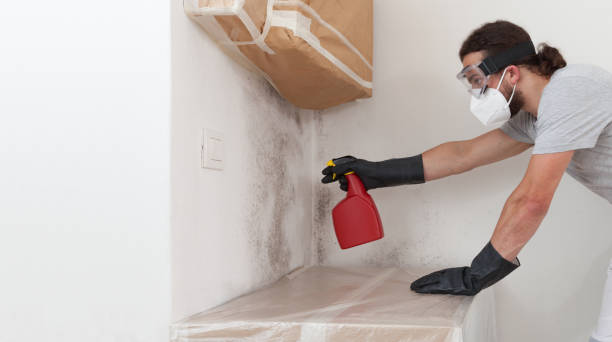 Professional Mold Cleanup technician working in Garland, TX